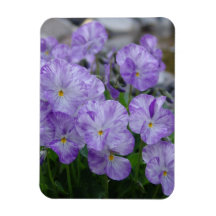 Customize Product - Customized Flexible Magnet