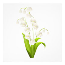 Customize Product - Customized Invites
