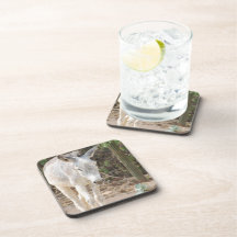 Customize Product Drink Coasters
