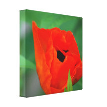 Customize Product Gallery Wrapped Canvas