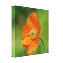 Customize Product Gallery Wrapped Canvas