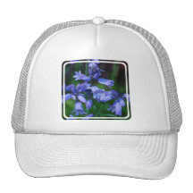Customize Product Hat