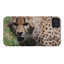 Customize Product iPhone 4 Case-Mate Cases