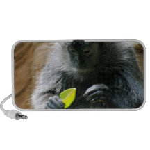 Customize Product iPhone Speakers