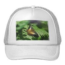 Customize Product Mesh Hats