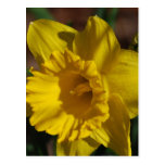 Customize Product Post Card