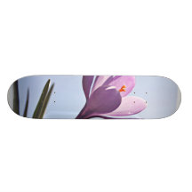 Customize Product Skate Board Deck