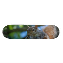 Customize Product Skate Board Decks