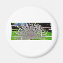 cut picture fridge magnets