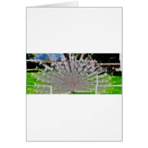 cut picture greeting cards