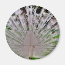 cut picture magnet
