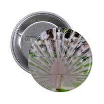 cut picture pinback buttons