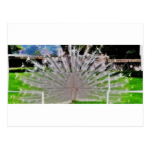 cut picture post cards