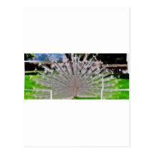 cut picture postcard
