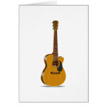 Cutaway Acoustic Guitar