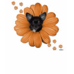 Cute Adorable Sly Heaven Chihuahua t-shirts