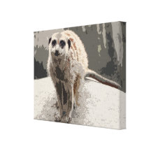 Cute African Meerkat Wildlife Digital Art Canvas Prints