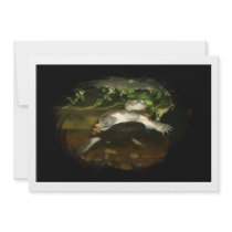 Cute African Side Necked brown turtle black frame Announcement