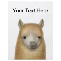 Cute Alpaca Flyer