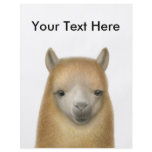 Cute Alpaca Flyer