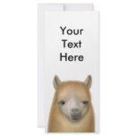 Cute Alpaca Rack Card