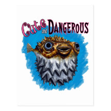 Cute And Dangerous Puffer Fish Blue Post Cards