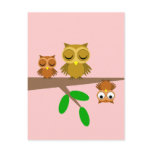cute and funny owls