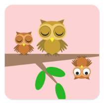 cute and funny owls
