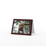 Cute  Animal Baby Happy New Year cards