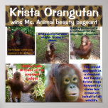 Cute Animal Beauty Pageant Queen Krista O posters