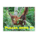 Cute Animal Swingers Party Invitation postcards