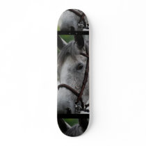 Cute Appaloosa Horse Skateboard