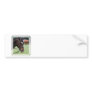 Cute Arabian Horse Bumper Stickers