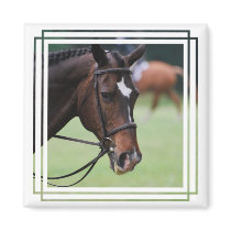 Cute Arabian Horse Magnet