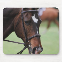 Cute Arabian Horse Mouse Pads