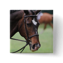 Cute Arabian Horse Pin