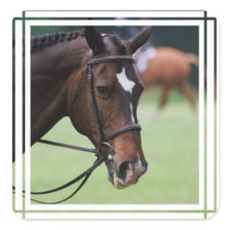 Cute Arabian Horse Stickers