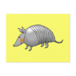 Cute armadillo postcards
