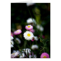 Cute as a Button Greeting Cards