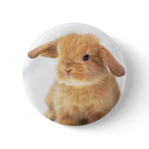 Cute Baby Bunny Happy Easter Design