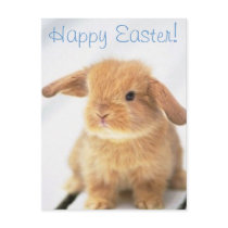 Cute Baby Bunny Happy Easter Design
