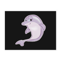 cute baby dolphin post cards