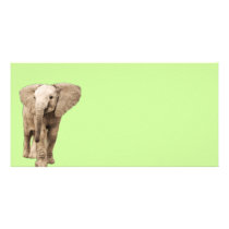 Cute Baby Elephant Personalized Photo Card