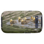 Cute Baby Geese Photo Galaxy SIII Cover
