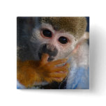 Cute Baby Monkey buttons