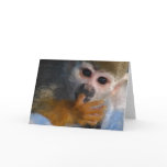 Cute Baby Monkey cards