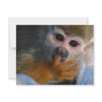 Cute Baby Monkey Personalised Announcement