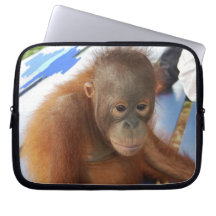 Orangutan Computer