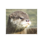 Cute Baby Otter Canvas Prints