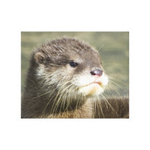 Cute Baby Otter Canvas Prints
